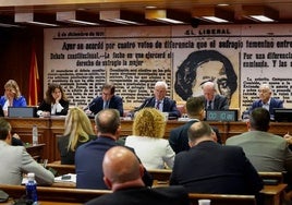 Imagen de la comisión de investigación del Senado