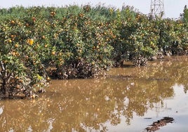 La lluvia de millones del clima no riega los campos de los pequeños agricultores