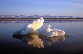 Un trozo de hielo flota dentro del Refugio Nacional de Fauna del Ártico de EE. UU.