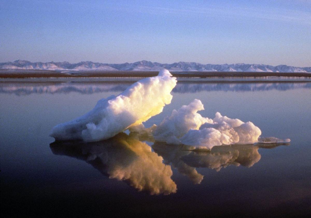 Un trozo de hielo flota dentro del Refugio Nacional de Fauna del Ártico de EE. UU.