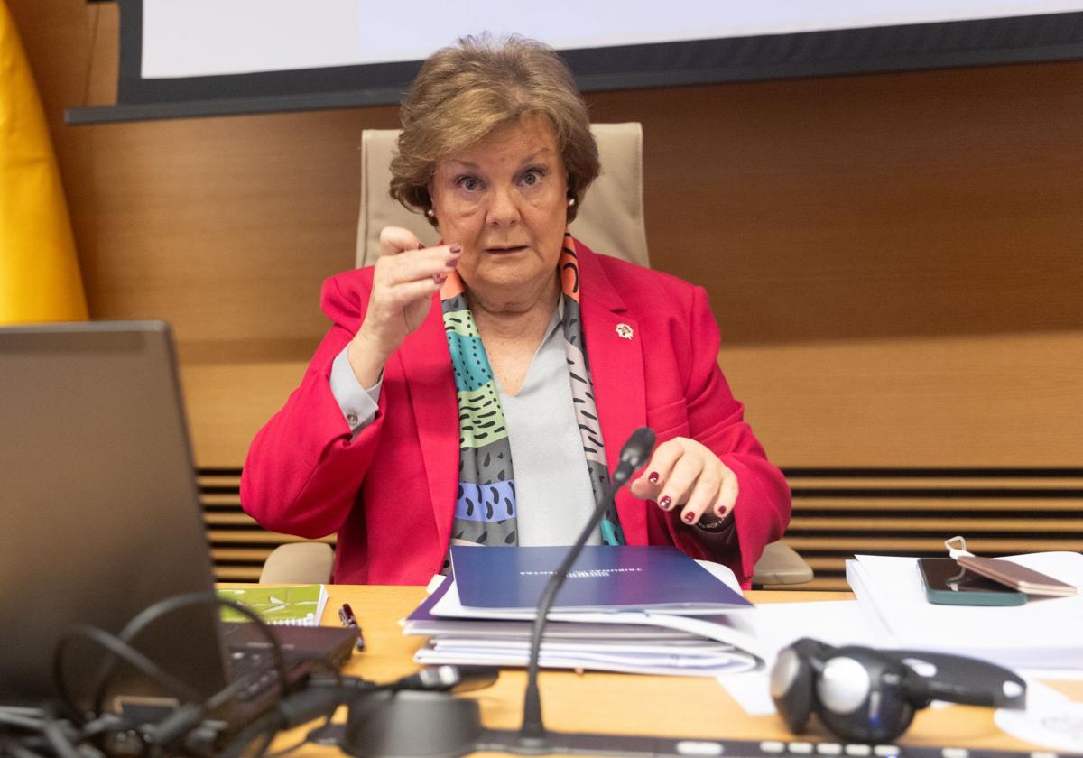 La presidenta del Tribunal de Cuentas, Enriqueta Chicano, comparece ante la Comisión Mixta del Congreso y Senado.