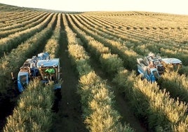 El primer unicornio agro español lanza una calculadora de carbono en tiempo real