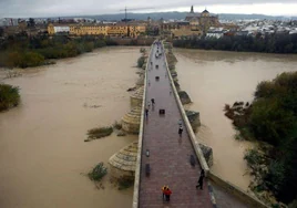 Imagen de la crecida del río Guadalquivir a su paso por el Puente Romano de Córdoba