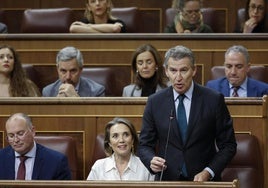 Alberto Núñez Feijóo, presidente del PP, en el Congreso