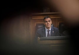 Pedro Sánchez en el Congreso de los Diputados.