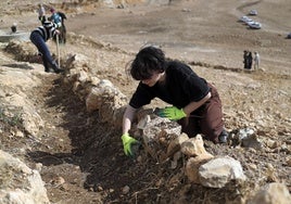 Varios jóvenes palestinos construyen una acequia para intentar abastecerse de agua.