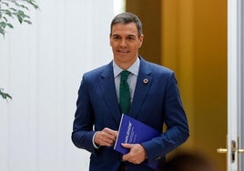 El presidente del Gobierno Pedro Sánchez.