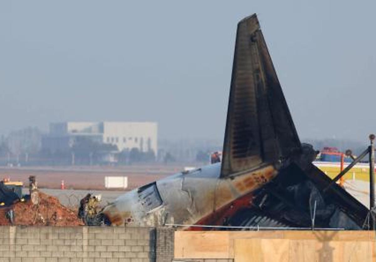 Solo la cola quedó reconocible tras la explosión del avión.