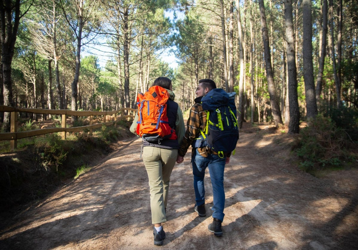 Si te gusta hacer Trekking, aquí tienes todo lo que necesitas