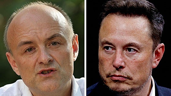 La extraña alianza de Musk y un exasesor de Boris Johnson