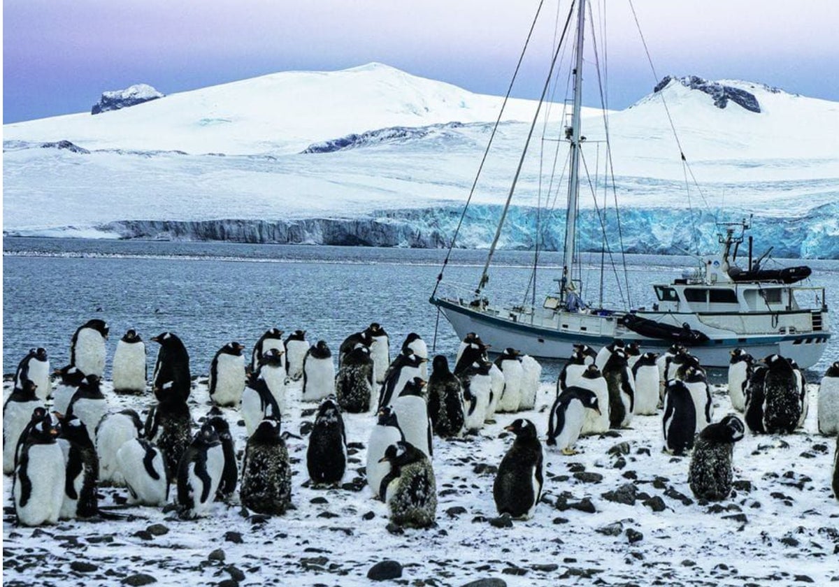 El velero en el que Antonio Alcamí realiza la expedición antártica, en la revista Nature.