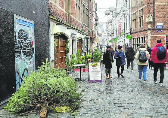 vCientos de abetos permanecen tirados durante semanas en las calles de Bruselas.