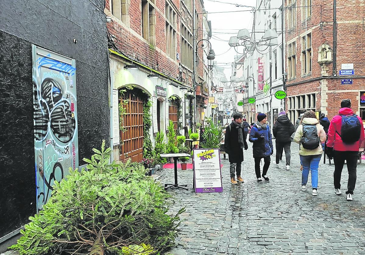 vCientos de abetos permanecen tirados durante semanas en las calles de Bruselas.