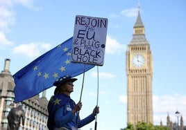 Una manifestante exhibe frente al Parlamento británico una pancarta en favor del regreso del país a la UE.