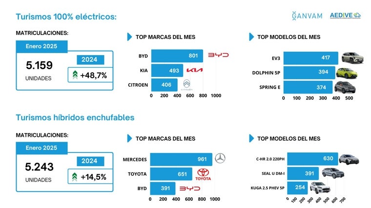 Los eléctricos y enchufables más vendidos en enero