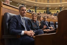 Pedro Sánchez en el Congreso de los Diputados.