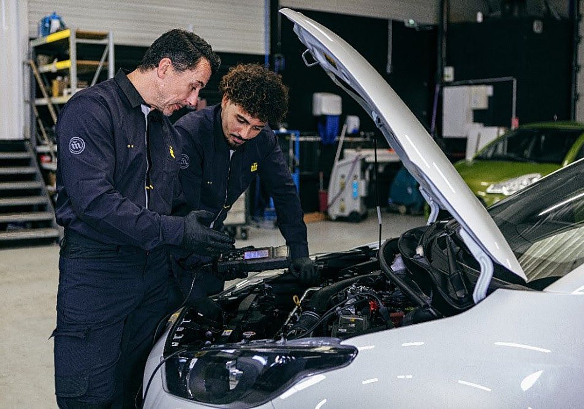 Una revisión periódica puede evitar problemas