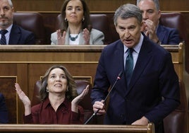 Alberto Núñez Feijóo, presidente del PP, en el Congreso