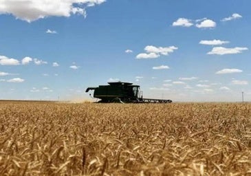 China y Canadá contraatacan con una subida de aranceles a los productos agrícolas de EE UU