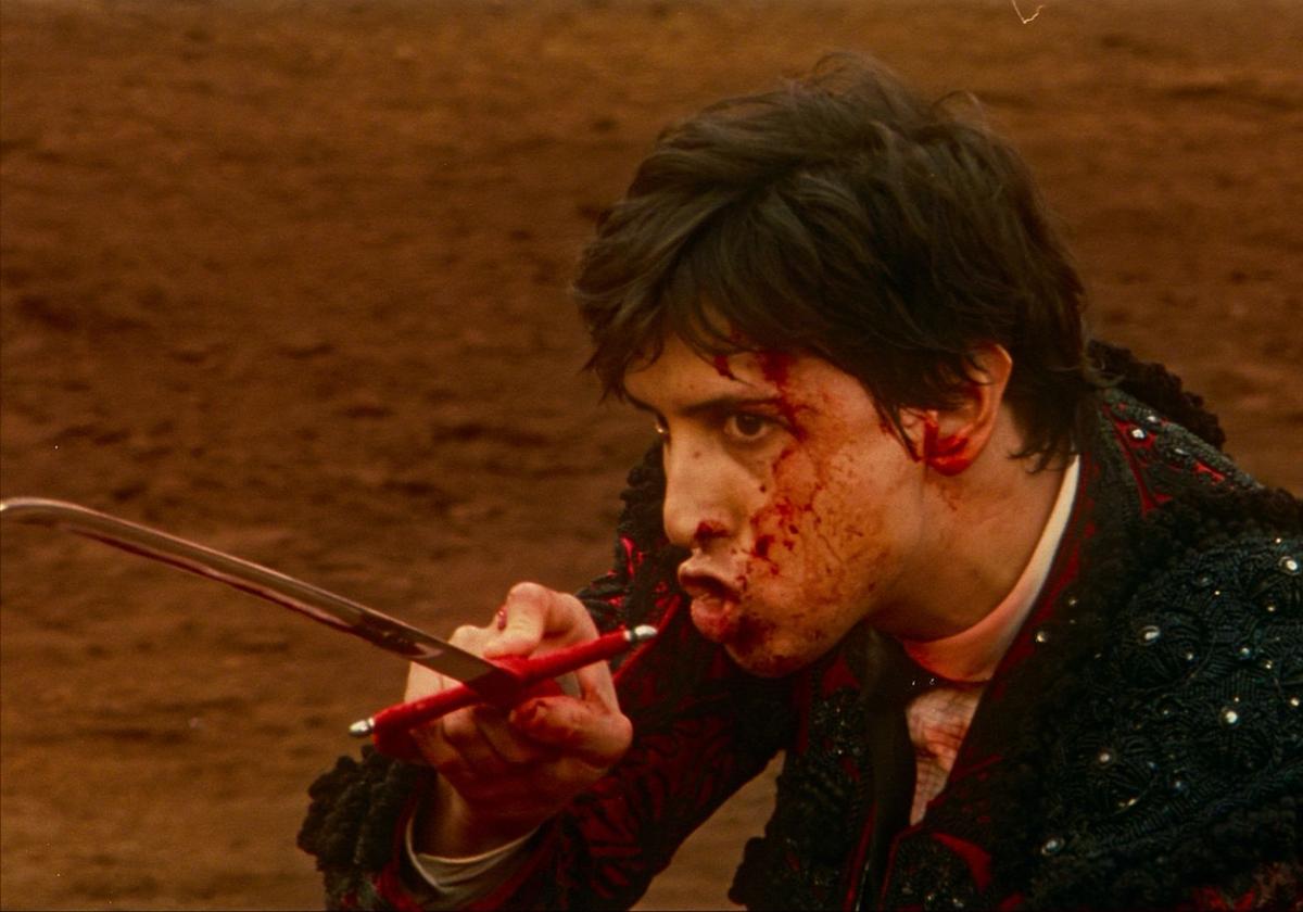 'Tardes de soledad', la belleza del horror