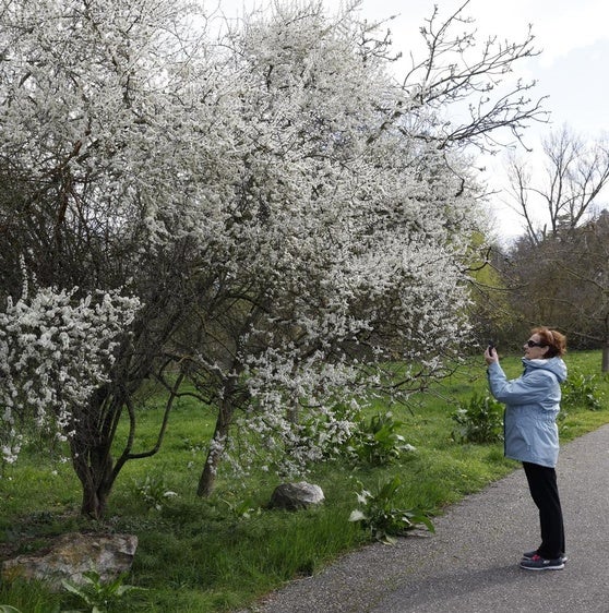 28 días sin frío, el nuevo invierno del cambio climático