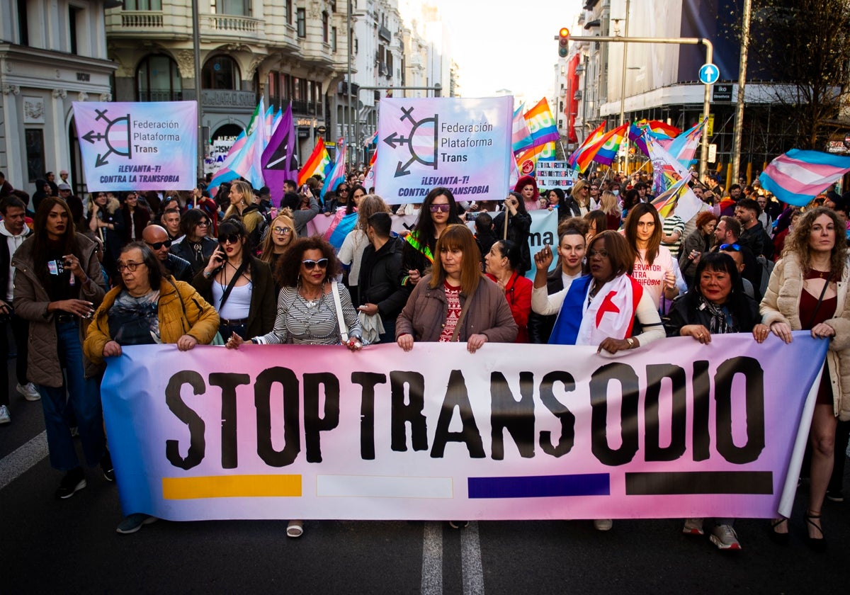 One in Four Transgender Individuals in Spain Have Faced Physical or Sexual Assault