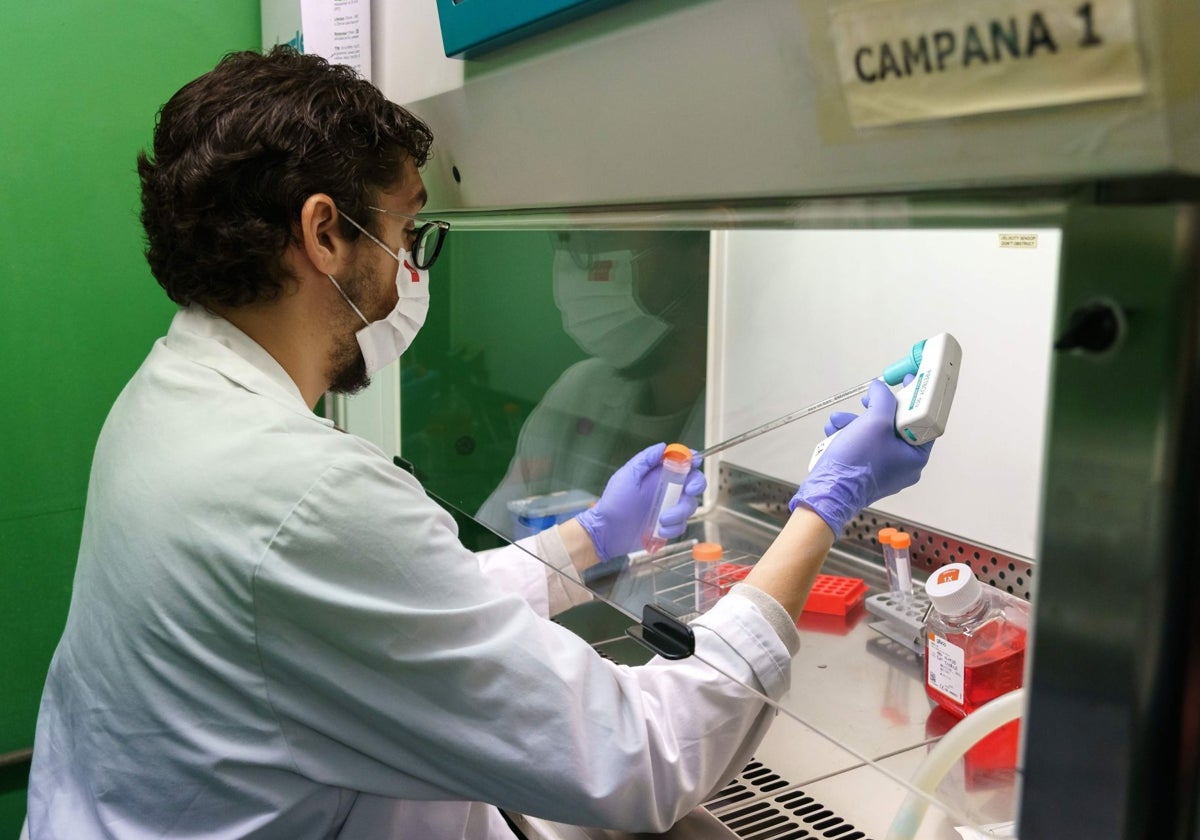 Un estudio identifica 296 enfermedades fetales con tratamiento antes del nacimiento