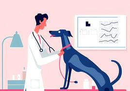 Razas de perros y gatos con problemas de salud 'de serie'...¿conviene contratar un seguro?