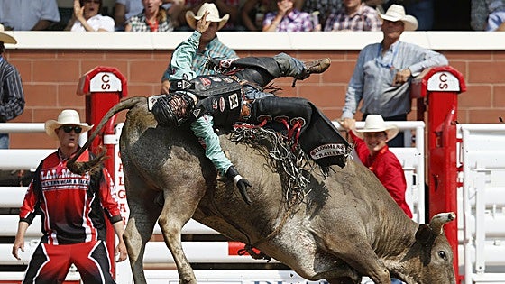 El rodeo de toros, un deporte de alto riesgo que cuesta la vida a un vaquero