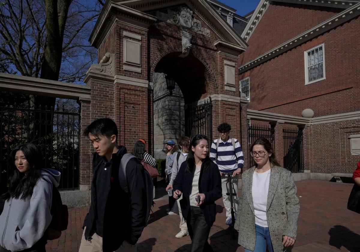 Estudiantes, en el campus de la Universidad de Harvard.