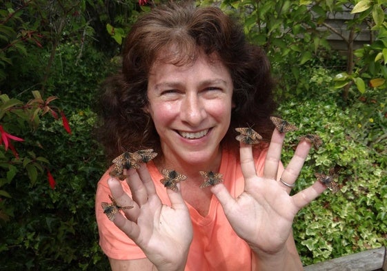 Premio Fronteras del Conocimiento para la bióloga que descubrió en las mariposas que los animales huyen del calentamiento global