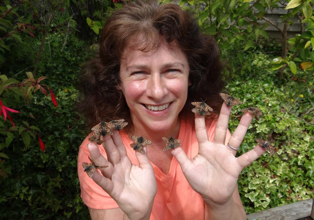 Premio Fronteras del Conocimiento para la bióloga que descubrió en las mariposas que los animales huyen del calentamiento global