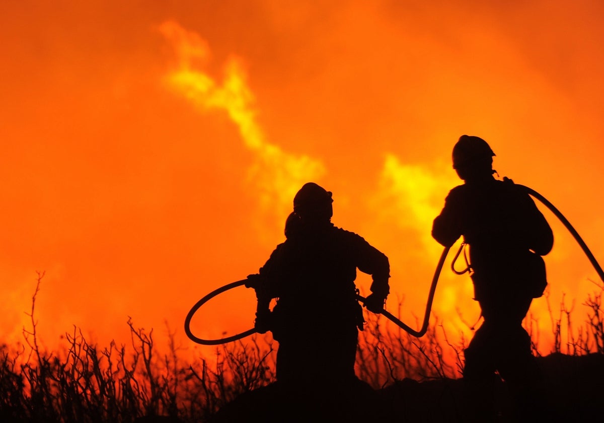 El Gobierno prevé un verano con alto riesgo de incendios forestales