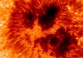 La primera imagen VTF que capta las estructuras dentro de una mancha solar.