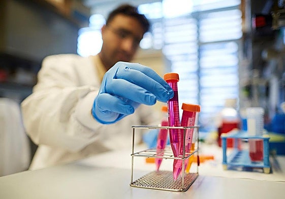 Un investigador contra el cáncer en un laboratorio.