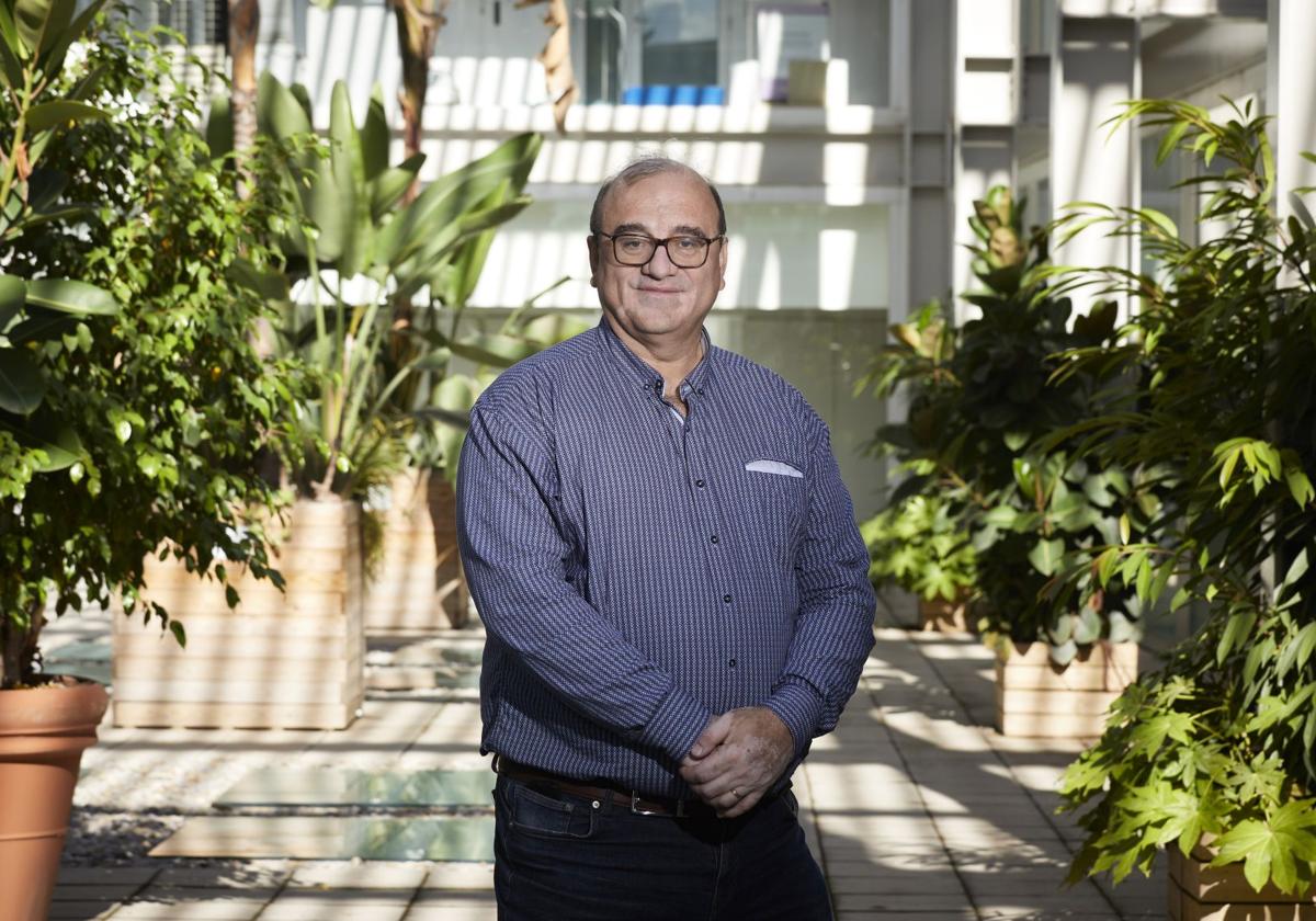 «El problema ha sido meter renovables de manera descontrolada, tipo 'low cost'»
