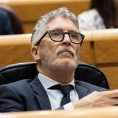 Fernando Grande-Marlaska durante una sesión de control en el Senado.