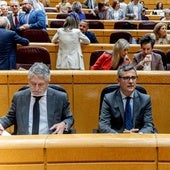 El ministro del Interior, Fernando Grande-Marlaska, (izq) durante una sesión de control en el Senado