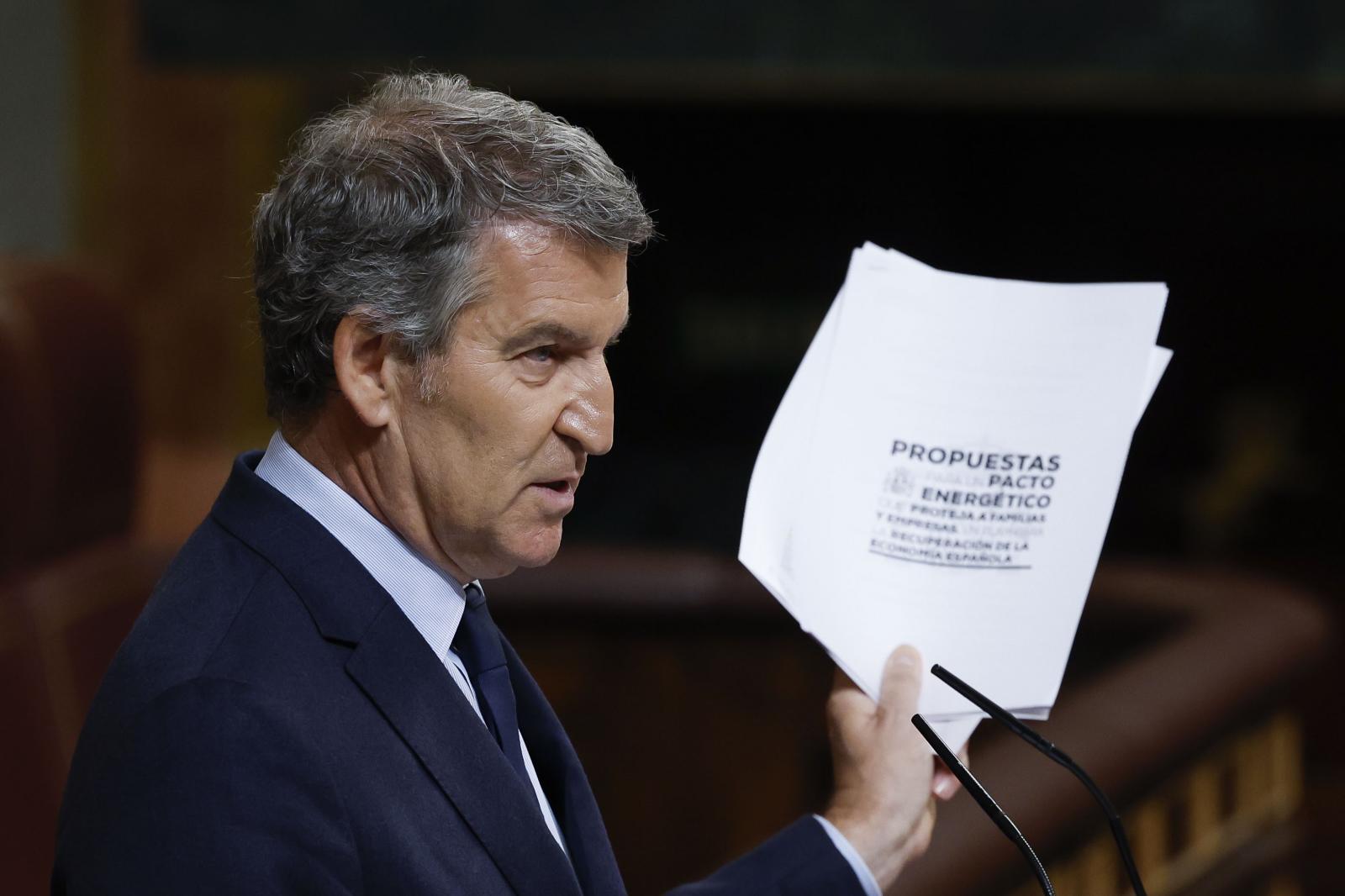 El líder del PP, Alberto Núñez Feijóo, ante el pleno del Congreso