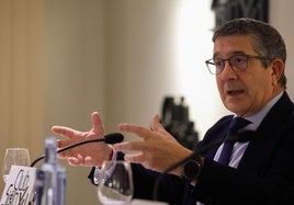 El portavoz del PSOE en el Congreso de los Diputados, Patxi López.