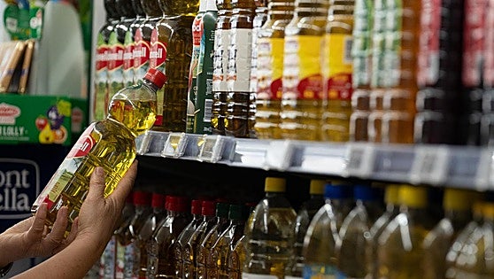 Los agricultores denuncian ante Competencia una «manipulación» en el precio del aceite de oliva