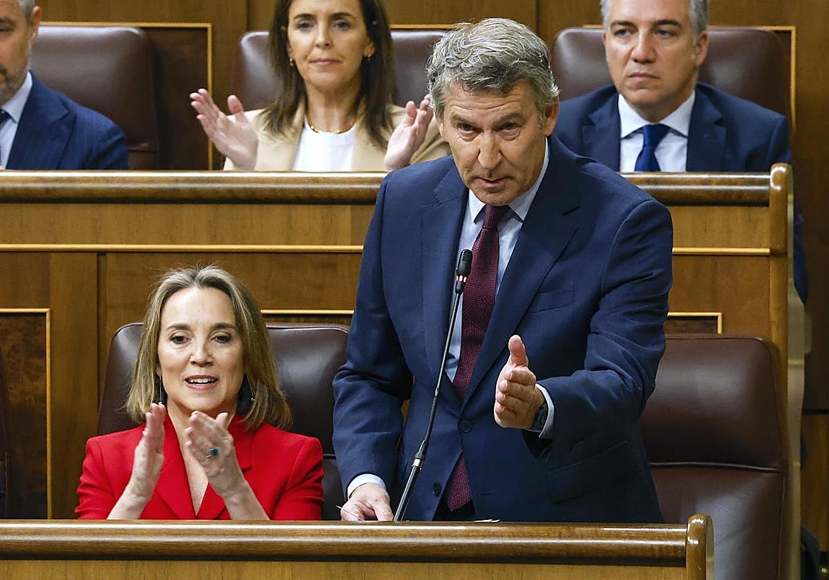 El presidente del PP, Alberto Núñez Feijóo se dirige al presidente del Gobierno, Pedro Sánchez, durante la sesión de control al Ejecutivo.