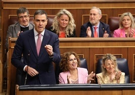 El presidente del Gobierno, Pedro Sánchez, durante la sesión de control al Gobierno.