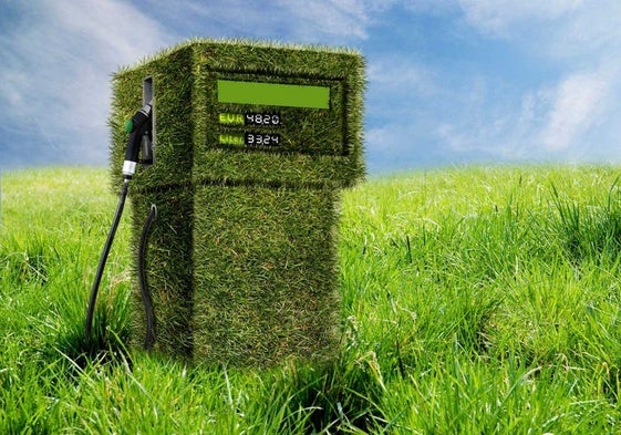 A diferencia de los combustibles fósiles, la biomasa se puede regenerar