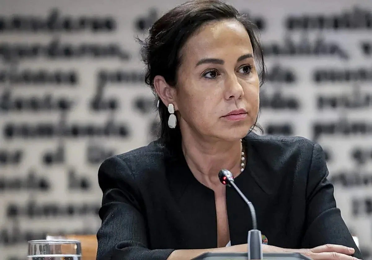 Pardo de Vera en la comisión de investigación del 'caso Koldo' en el Senado