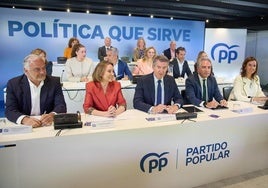 El presidente del PP, Alberto Núñez Feijóo.
