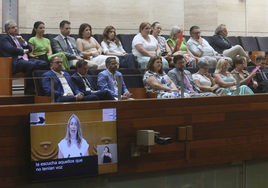 Miguel Ángel Gallardo, junto al alcalde de Mérida, Antonio Rodríguez Osuna, en la tribuna de invitados de la Asamblea de Extremadura.