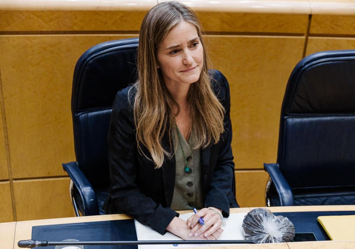 Un mes del histórico apagón sin respuesta del gobierno | las provincias