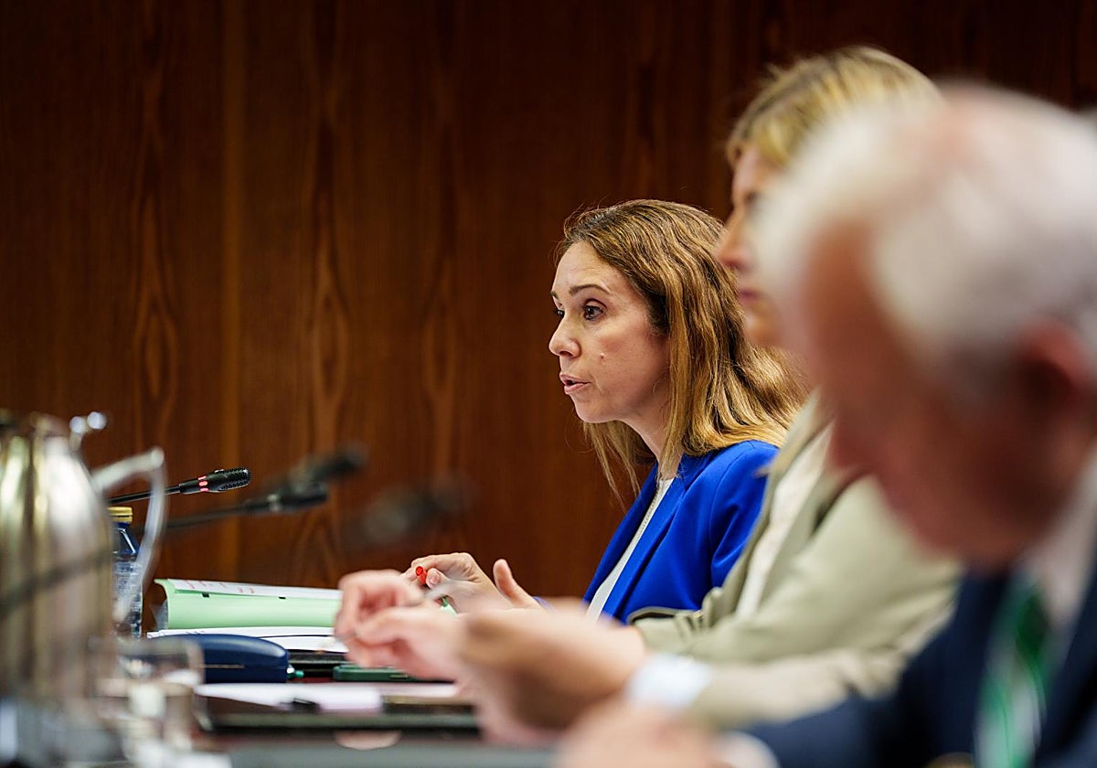 La exgerente de Desarrollo Rural y Política Forestal de Tragsatec, Caridad Martín, comparece en la comisión del 'caso Koldo' del Senado.