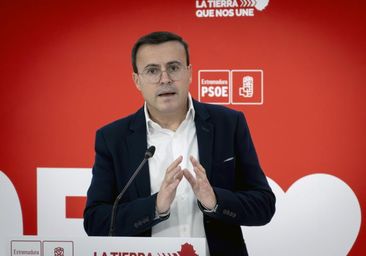 Manos Limpias denuncia a Gallardo por cohecho y fraude procesal en la causa al hermano de Sánchez